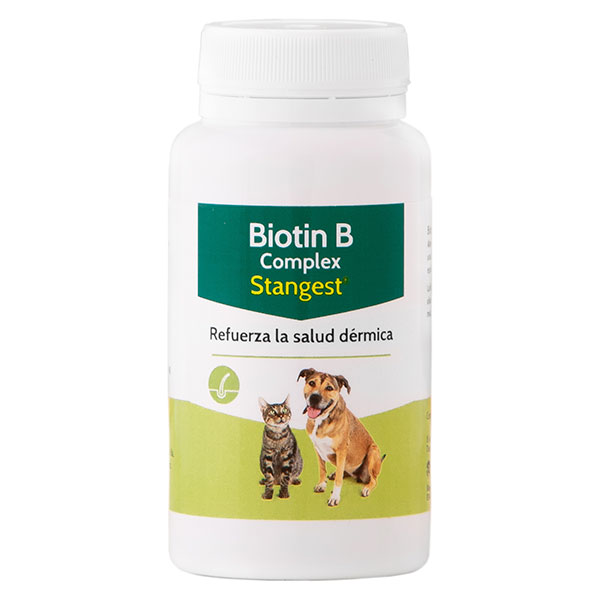 BIOTIN B COMPLEX 100 comp