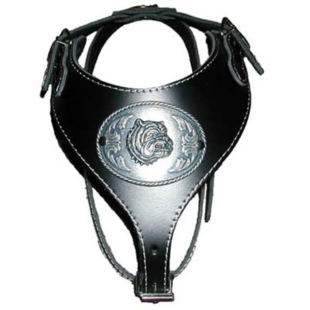 ARNES PERROS PRESA REGULABLE CON PERRO