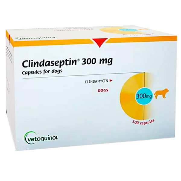 CLINDASEPTIN 300 100COMP