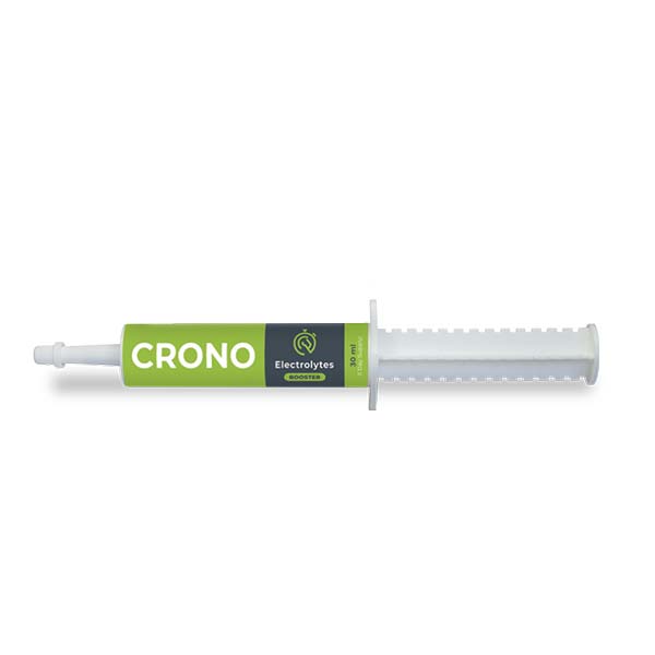 CRONO Electrolytes BOOSTER 30 ml - Jeringa Pasta Oral