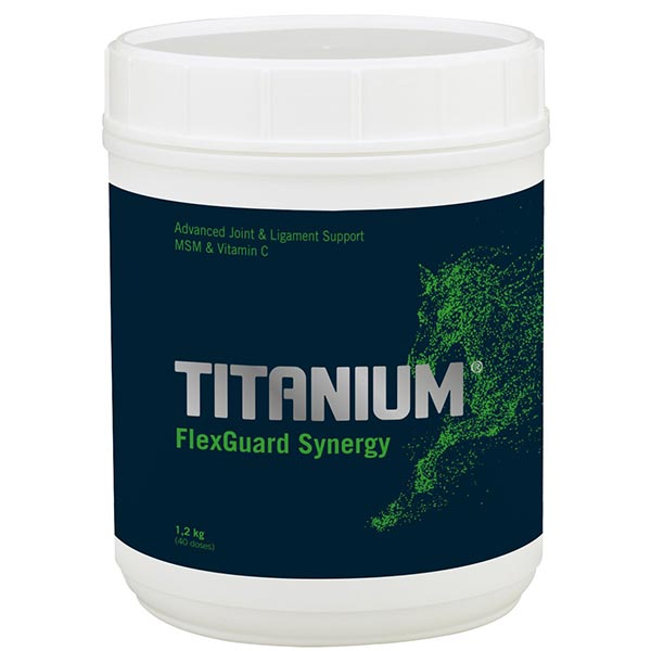 TITANIUM FlexGuard Synergy 1,2 Kg - Molido