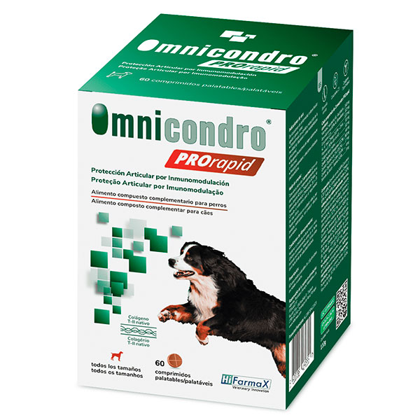 OMNICONDRO PROrapid 60 comp.