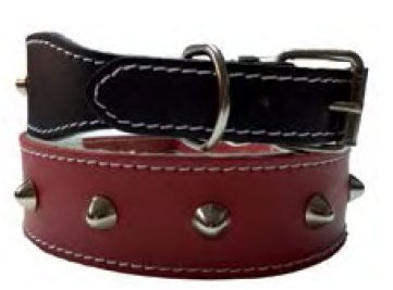 COLLAR BULL-DOG FRANCES HEMBRAS / CARLINOS 45cm