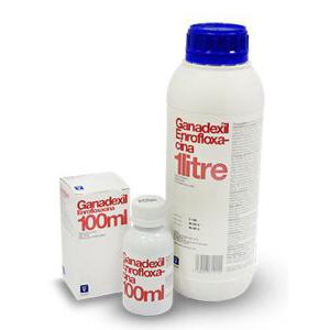 GANADEXIL ENROFLOXACINA 10% 1L.