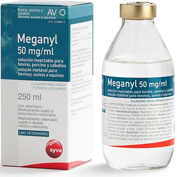 MEGANYL 250 ML