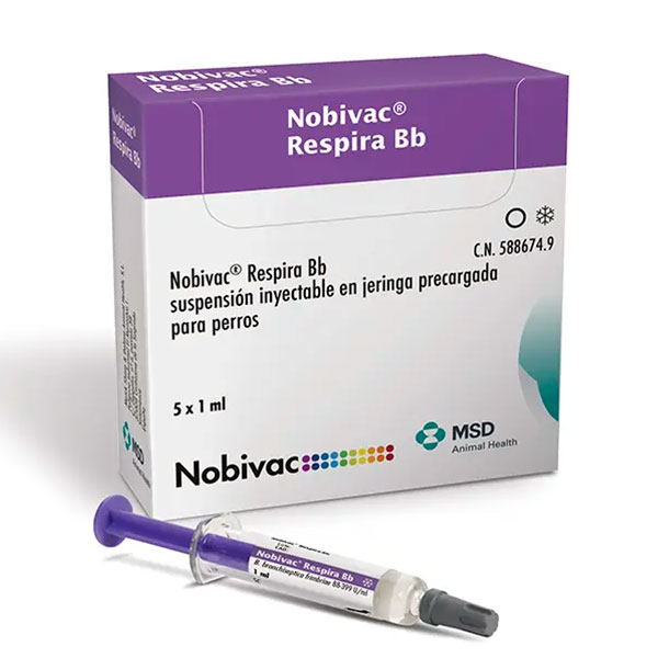 NOBIVAC RESPIRA BB INY 5 dosis
