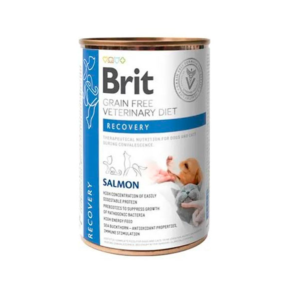 WET BD DOG/CAT RECOVERY 6x400GR