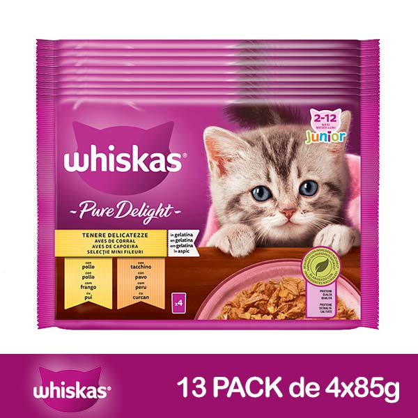 WHISKAS PURE Junior Aves Gelatina 13x4x85gr