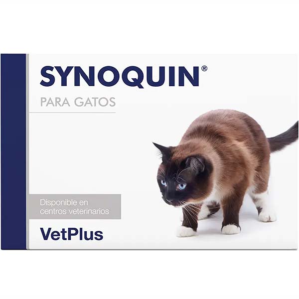 SYNOQUIN GATO 90comp