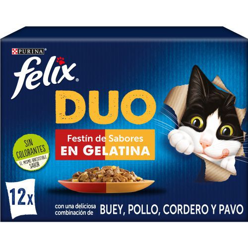 FELIX FANTASTIC Duo Delicious Carne 6x(12x85g)