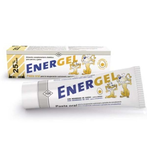 [FA5279] ENERGEL. Multivitamínico en pasta 100GR