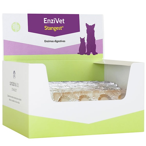[ST210062] ENZIVET blister 300cp