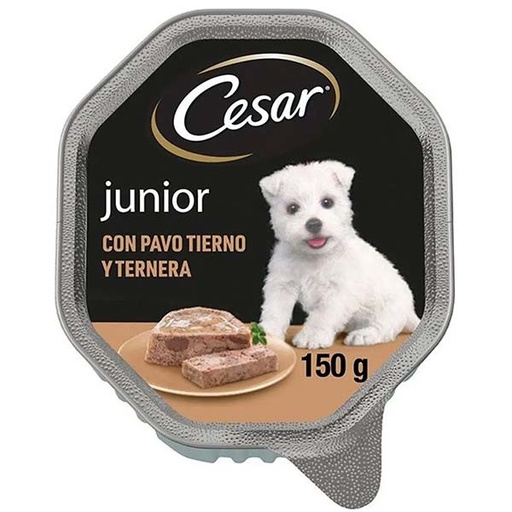 [401200] CESAR CLASICOS PUPPY Pavo 14x150gr