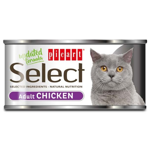 [02826395] WET SELECT CAT ADULT 24x95GR