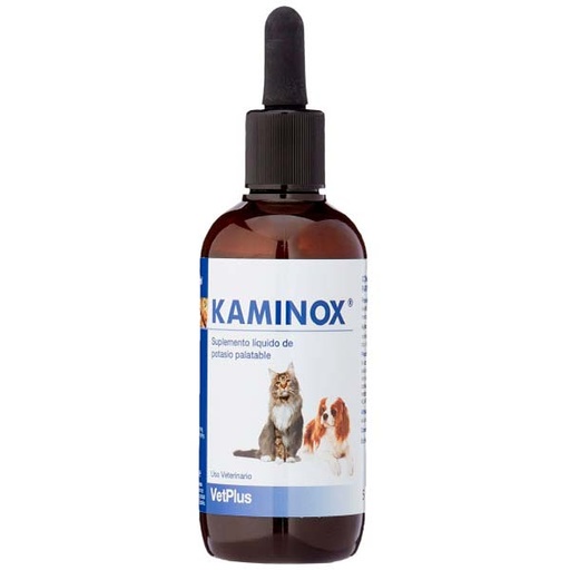 [VT50815] KAMINOX 60ML