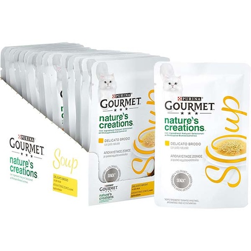 [12584735] GOURMET SOUP Pollo (32x40g)