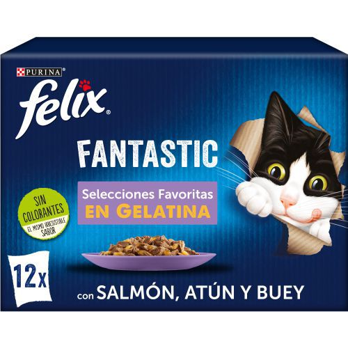 [12480825] FELIX FANTASTIC selección Favoritas 6x(12x85g)