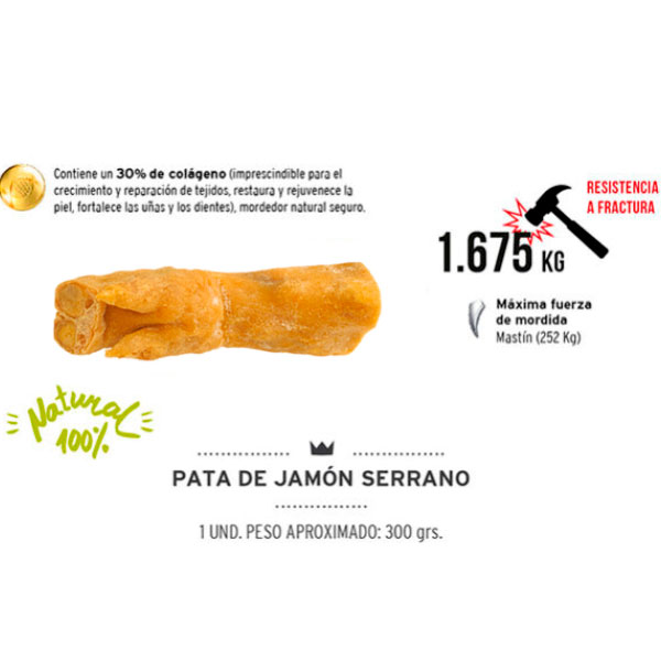 PATA DE JAMÓN 20x300 GR