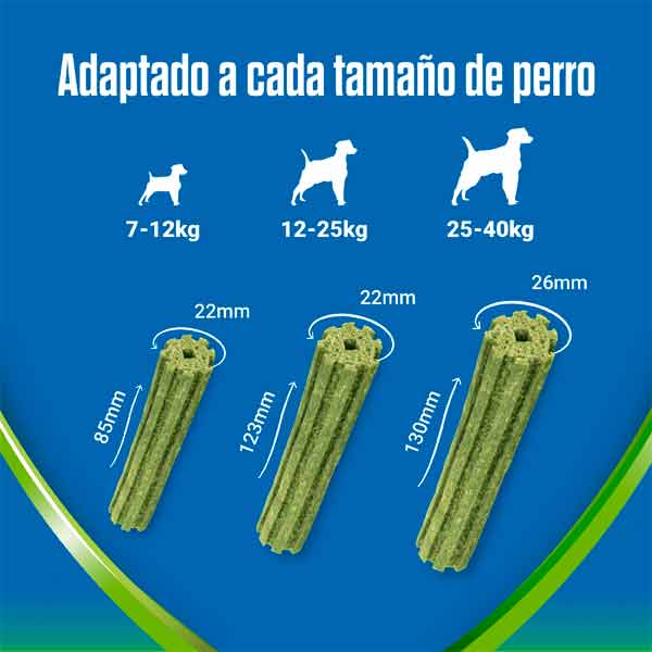 DENTALIFE ACTIVFRESH Large 6x142gr