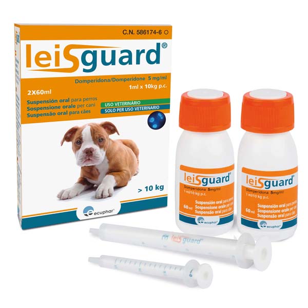 LEISGUARD 2x60 ML