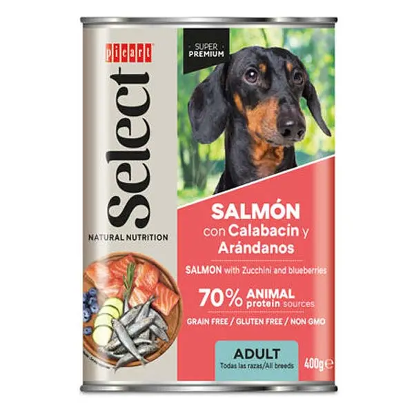 WET SELECT Salmon con Calabacín 6x400gr