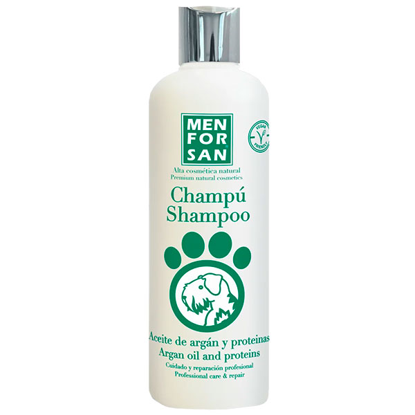 CHAMPU PROTEINAS SEDA Y ARGAN 300ml