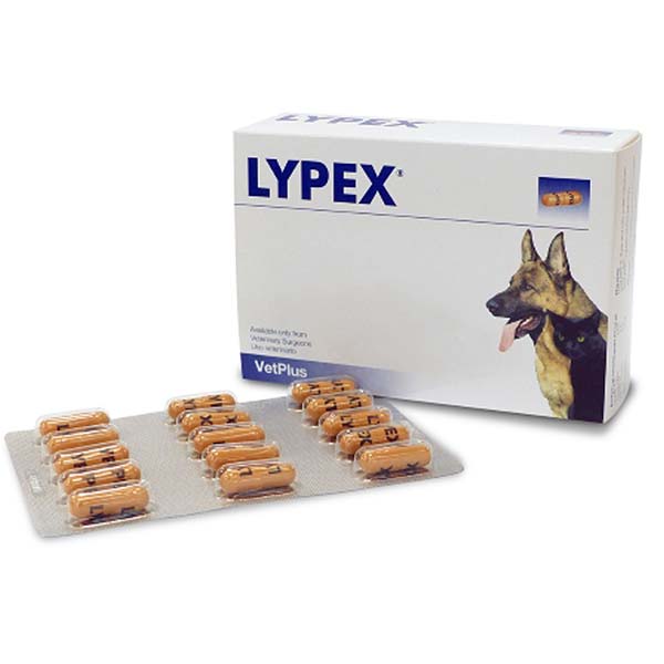 LYPEX Suplemento Digestion 60 Comprimidos
