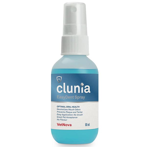 CLUNIA EasyDent Spray 60 ml