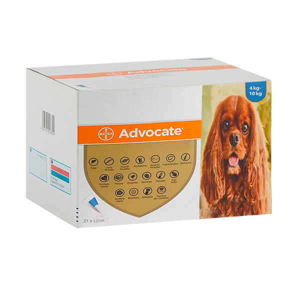 ADVOCATE PERRO 1 ML DE 4-10 KG 21PIP