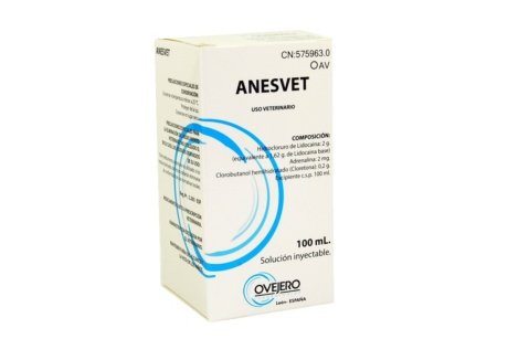 ANESVET 20MG/ML (XIDOCAINA) 100ML