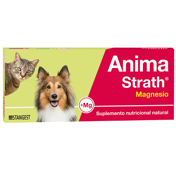 ANIMA-STRATH MAGNESIO 40cp blíster