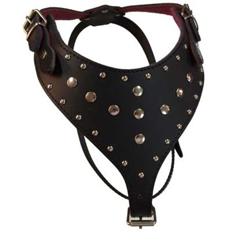 ARNES PERROS PRESA REGULABLE CON TACHAS