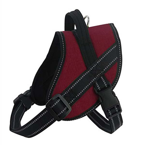 ARNES X-CONTROL SM CONTORNO 51-65cm