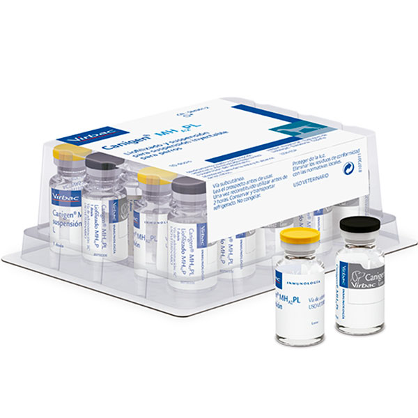 CANIGEN MHPL 10 DS (TETRAVALENTE)