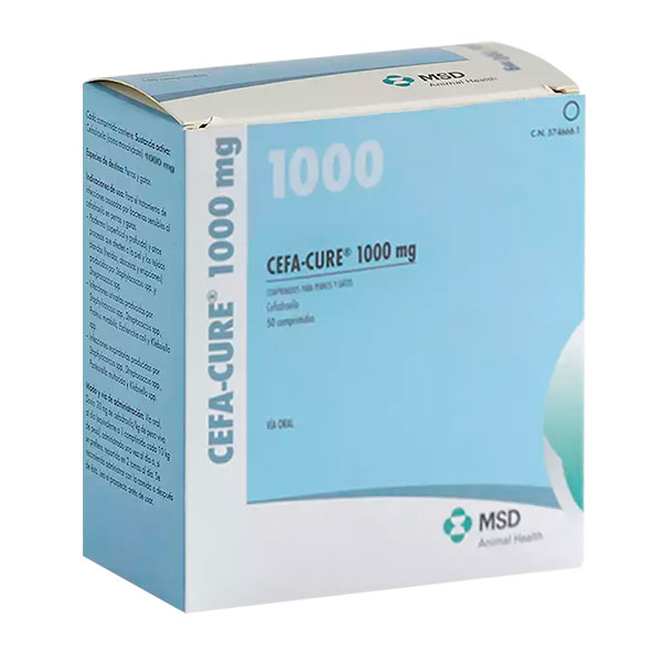 CEFA CURE 1000MG 50 COMP