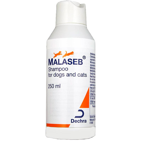 CHAMPU MALASEB 250ML
