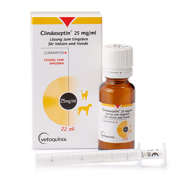 CLINDASEPTIN SOL. 22ML