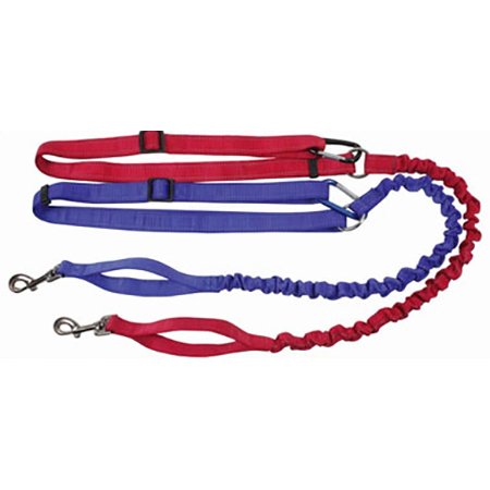 CORREA CANI-CROSS 25mm x 150-240cm