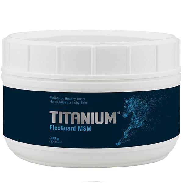 TITANIUM FlexGuard MSM 300 g - Molido