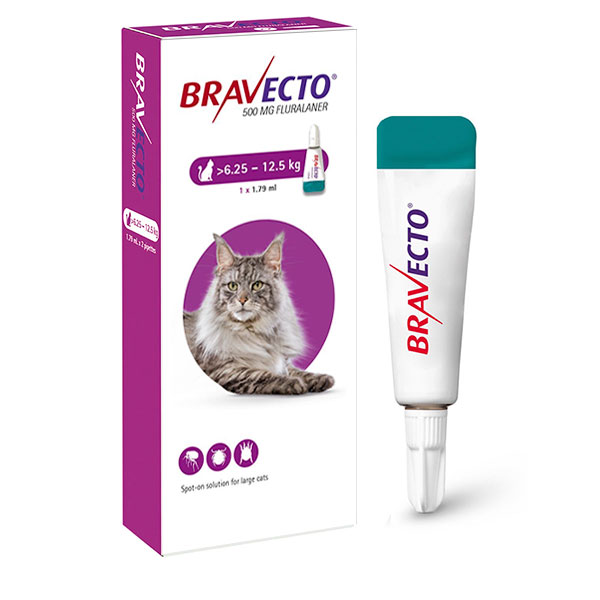 BRAVECTO SPOT CAT 500MG 6.5-12 KG