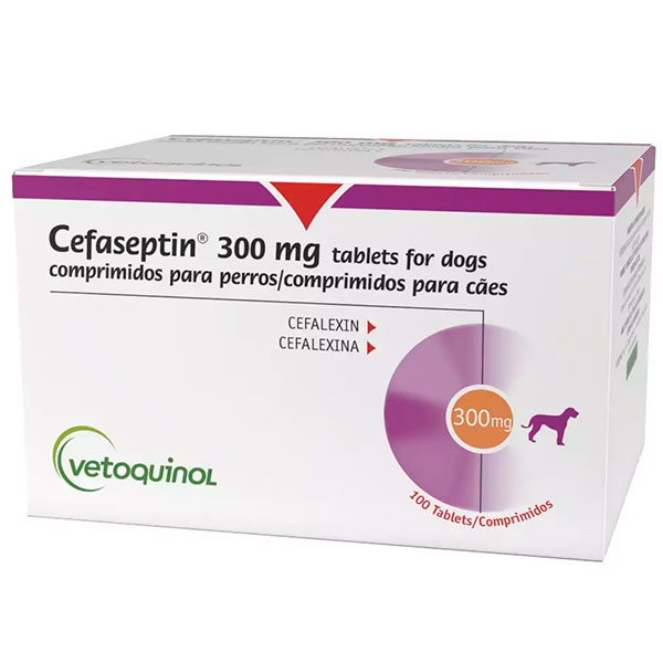 CEFASEPTIN 300MG 100 COMP
