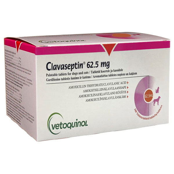 CLAVASEPTIN  62.5MG 100COMP
