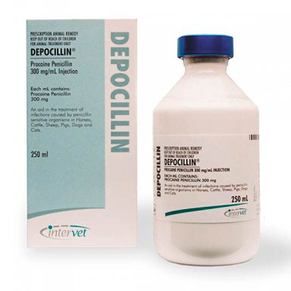 DEPOCILLIN 250ML