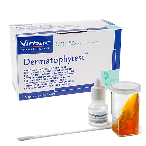 DERMATOPHYTEST 6 tests