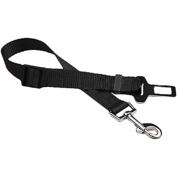ENGANCHE PARA CINTURON COCHE 25mm x 40 - 70cm