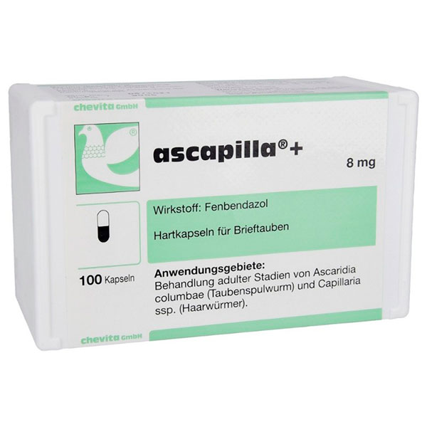 ESTUCHES DE ASCAPILLA