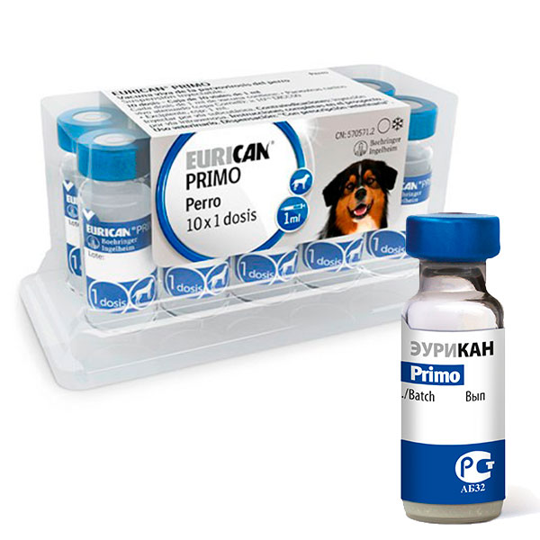 EURICAN PRIMO 10 D.