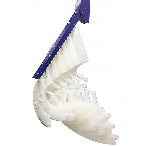 EXPOSITOR COLLARES ISABELINOS