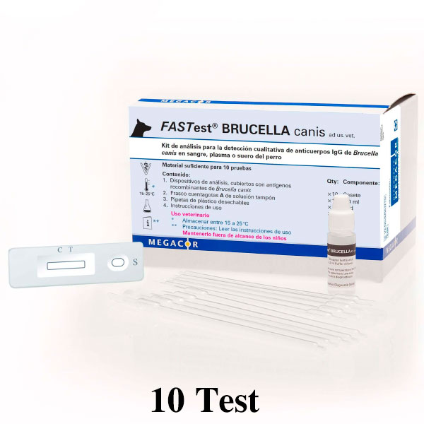 FASTest BRUCELLA 10t