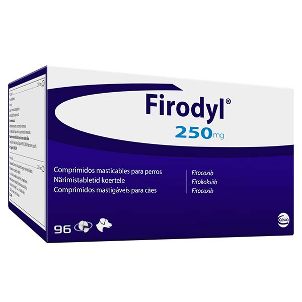 FIRODYL 250MG 16x6T